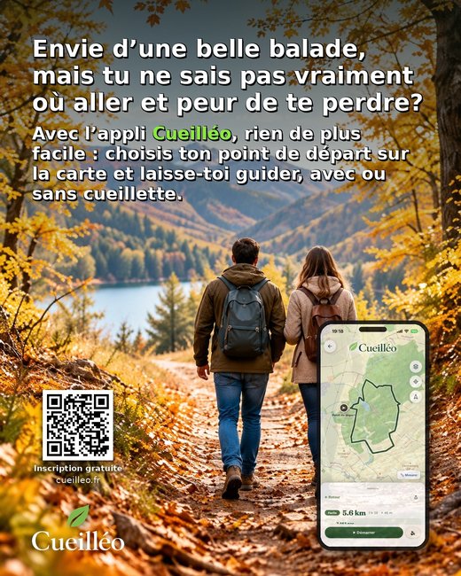 Second visuel publicitaire Pubéo
